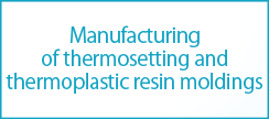 Manufacturing of thermosetting and thermoplastic resin moldings 